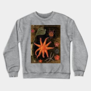 Vintage Sealife Crewneck Sweatshirt